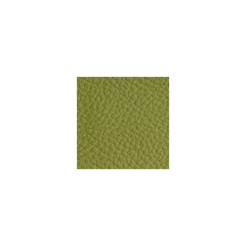 Simili Cuir Effet Grainé Vert Fenouil 403 Simili Cuir Effet Grainé Vert Fenouil 403