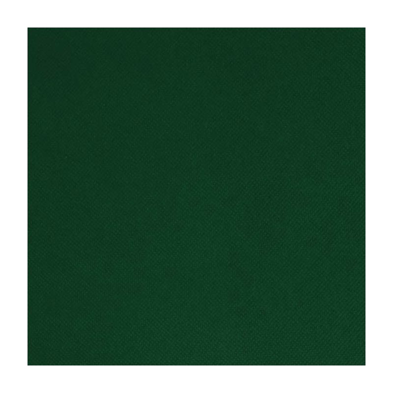 Intissé / Non-tissé aspect tissus Vert Bouteille Intissé / Non-tissé aspect tissus Vert Bouteille