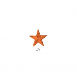 Ecusson étoile - orange