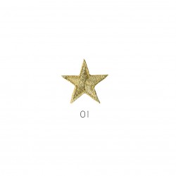 Ecusson étoile - or