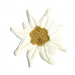 Edelweiss - doré