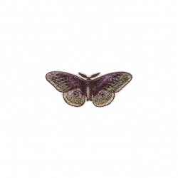 Ecussons insectes - papillon