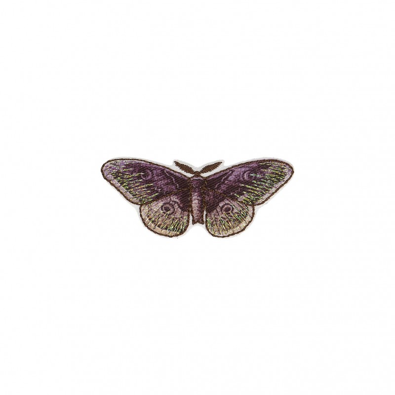 Ecussons insectes - papillon