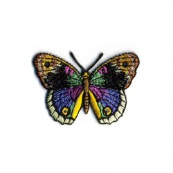 Papillon - papillon