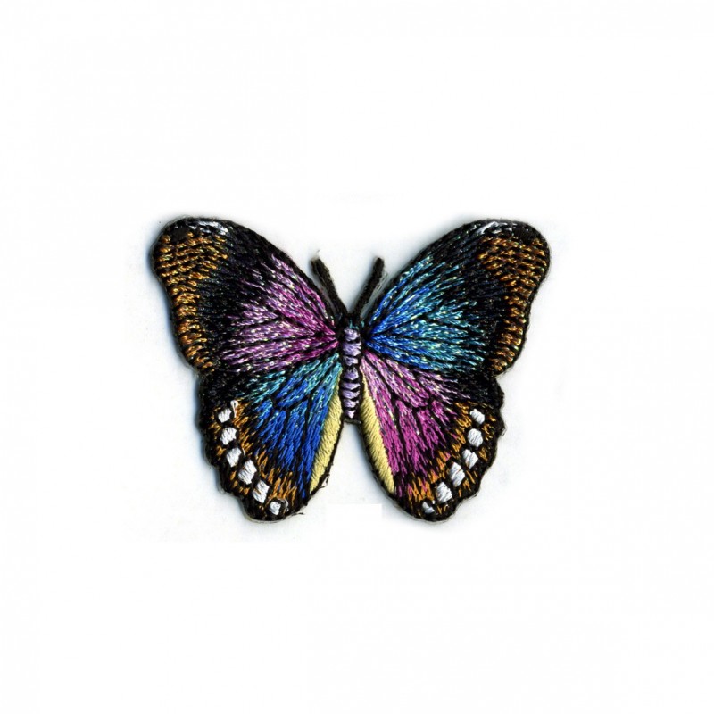 Papillon - papillon noir