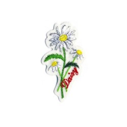 Langage des fleurs - daisy 6x3