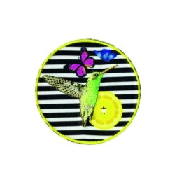 Animaux fond zebre 6x6 - colibri